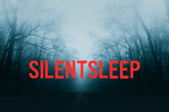 Enhance Your Campaigns with Silentsleep Display Font