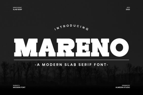 Mareno Font Review: A Designer’s Take on Display Type